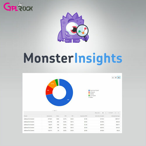 MonsterInsights – Ads Tracking Addon